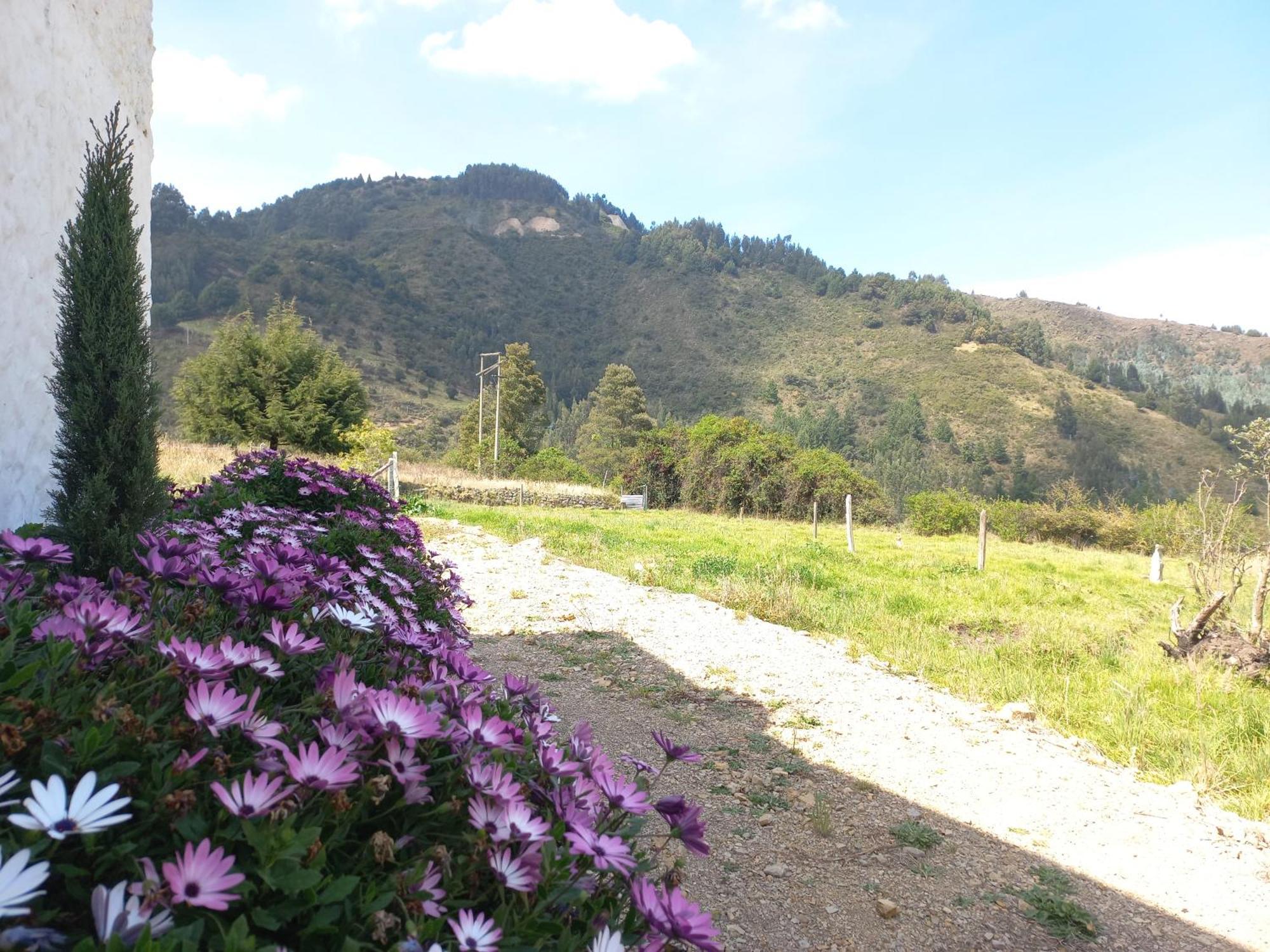 Hospedaje Y Camping Del Rio Monguí Extérieur photo