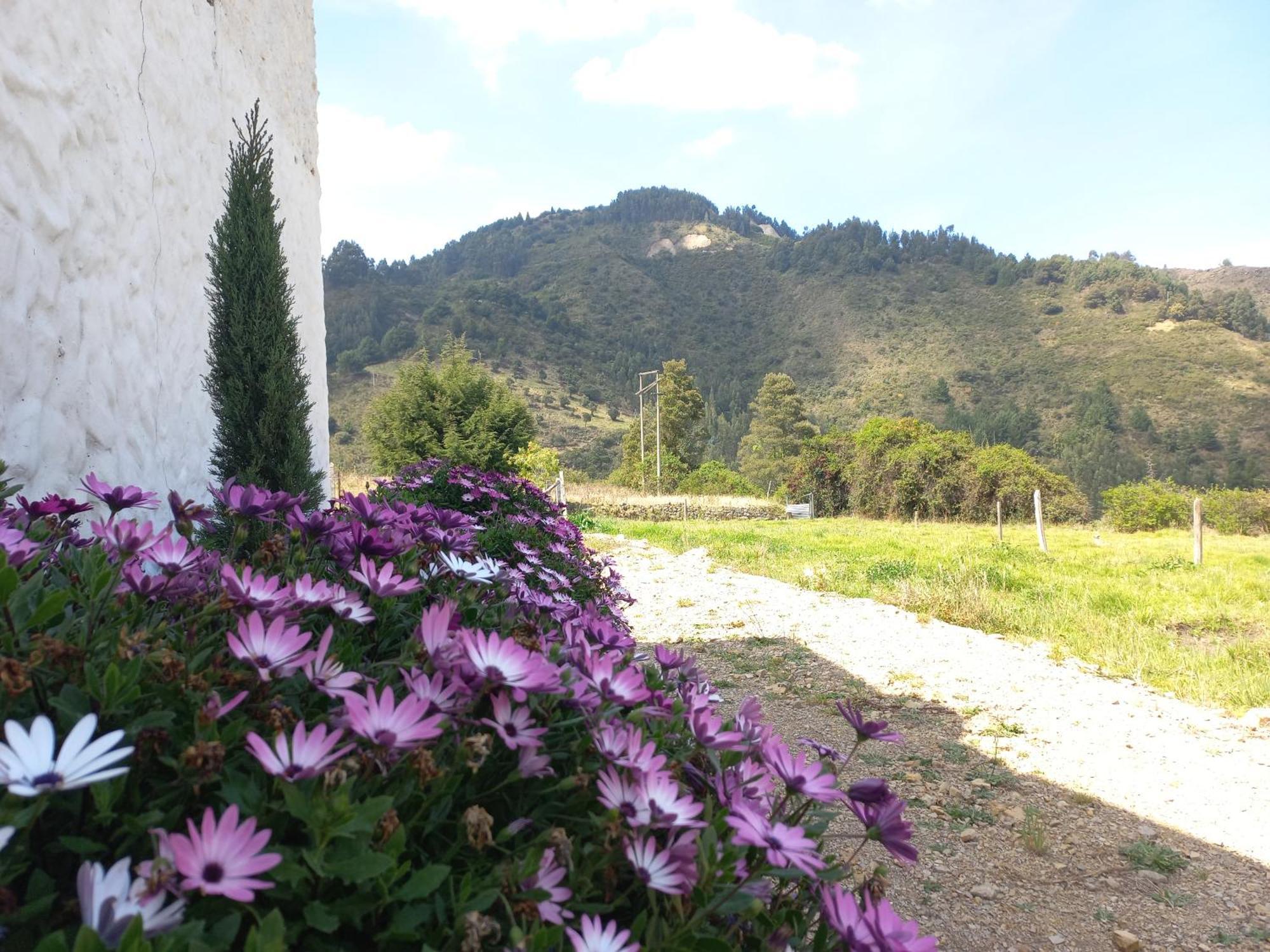 Hospedaje Y Camping Del Rio Monguí Extérieur photo