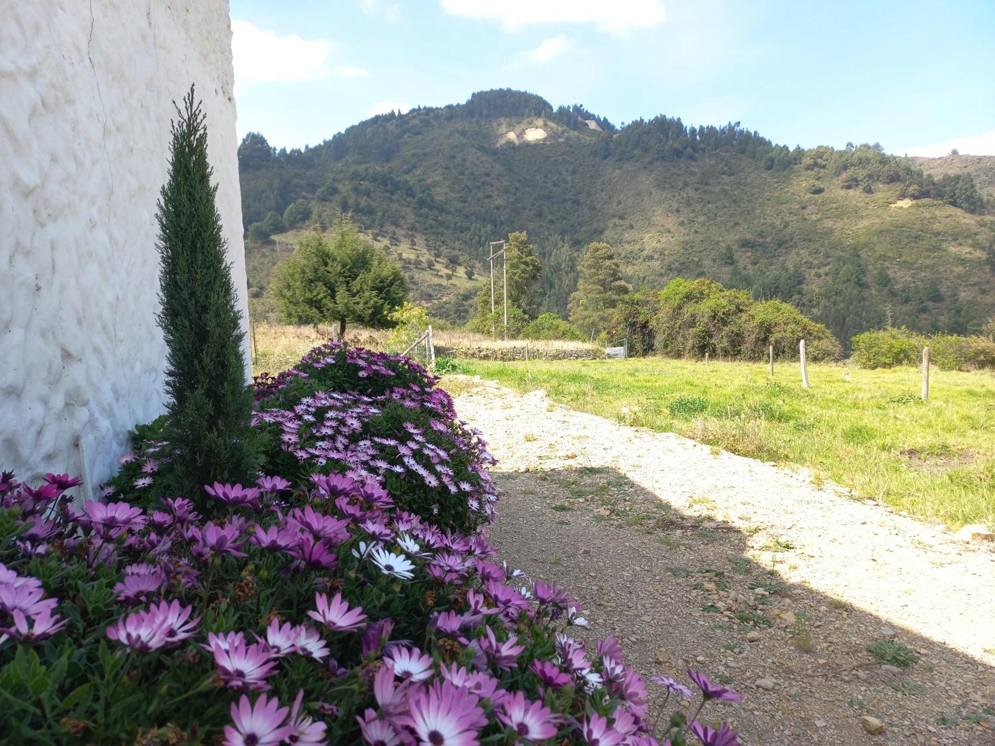 Hospedaje Y Camping Del Rio Monguí Extérieur photo